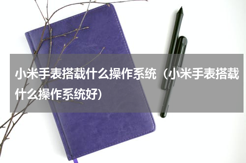 小米手表搭载什么操作系统（小米手表搭载什么操作系统好）