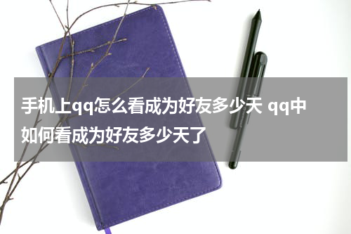 手机上qq怎么看成为好友多少天 qq中如何看成为好友多少天了
