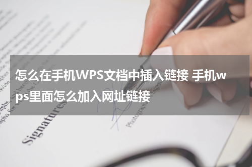 怎么在手机WPS文档中插入链接 手机wps里面怎么加入网址链接