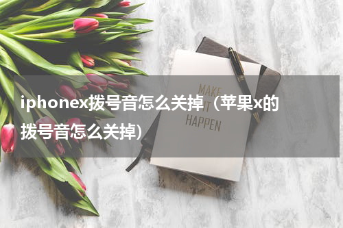 iphonex拨号音怎么关掉（苹果x的拨号音怎么关掉）