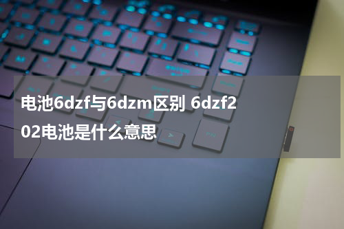 电池6dzf与6dzm区别 6dzf202电池是什么意思