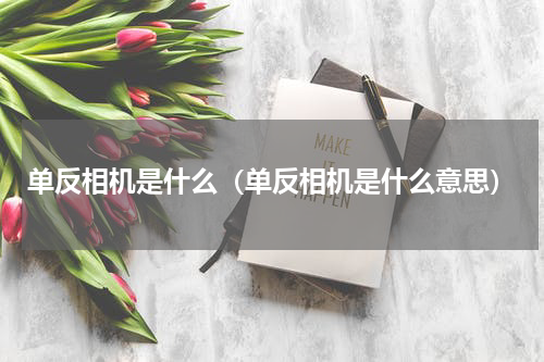 单反相机是什么（单反相机是什么意思）