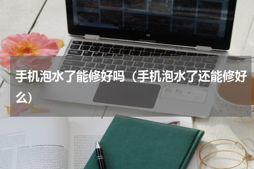 手机泡水了能修好吗（手机泡水了还能修好么）