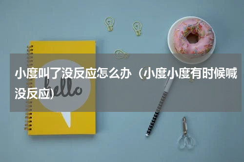 小度叫了没反应怎么办（小度小度有时候喊没反应）