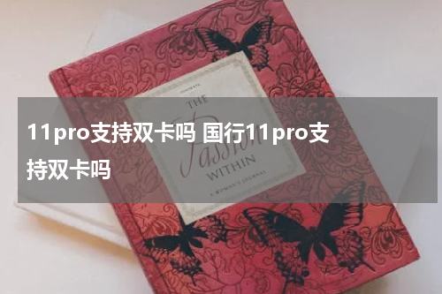 11pro支持双卡吗 国行11pro支持双卡吗