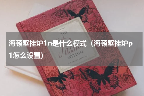 海顿壁挂炉1n是什么模式（海顿壁挂炉p1怎么设置）