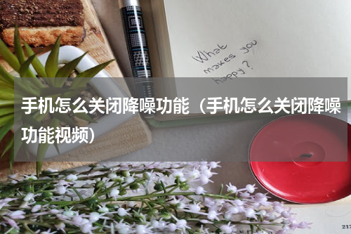 手机怎么关闭降噪功能（手机怎么关闭降噪功能视频）