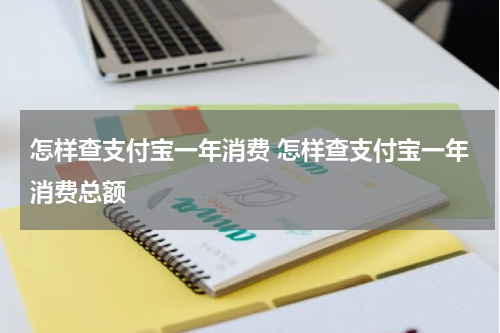 怎样查支付宝一年消费 怎样查支付宝一年消费总额