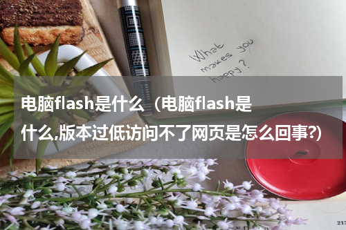 电脑flash是什么（电脑flash是什么,版本过低访问不了网页是怎么回事?）