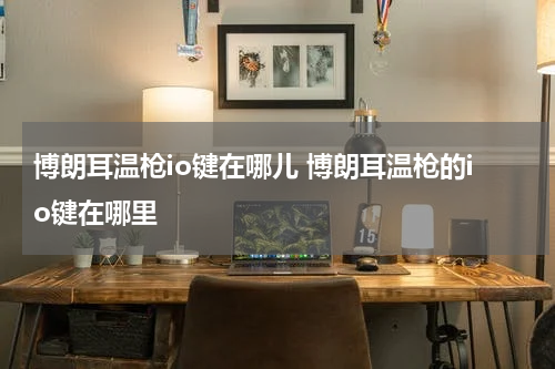 博朗耳温枪io键在哪儿 博朗耳温枪的io键在哪里