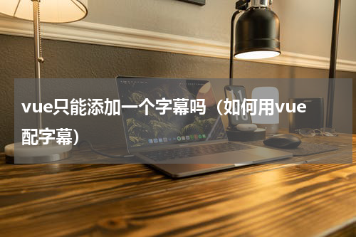 vue只能添加一个字幕吗（如何用vue配字幕）