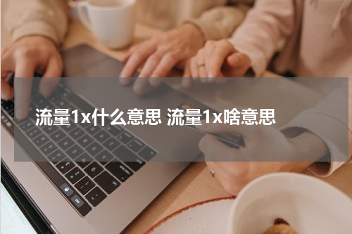 流量1x什么意思 流量1x啥意思