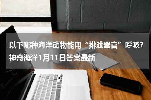 以下哪种海洋动物能用“排泄器官”呼吸？神奇海洋1月11日答案最新