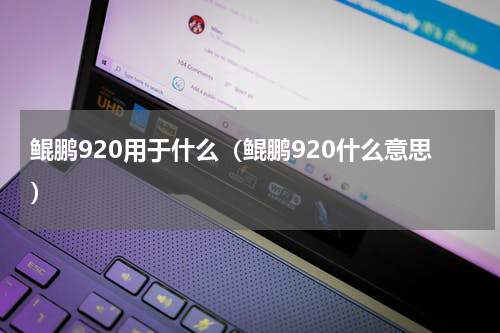 鲲鹏920用于什么（鲲鹏920什么意思）