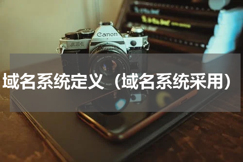 域名系统定义（域名系统采用）