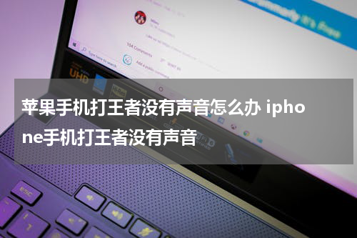 苹果手机打王者没有声音怎么办 iphone手机打王者没有声音