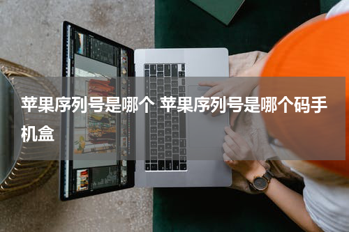 苹果序列号是哪个 苹果序列号是哪个码手机盒