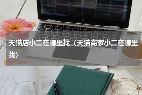 天猫店小二在哪里找（天猫商家小二在哪里找）