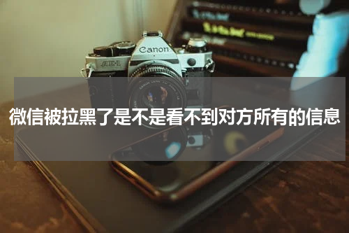 微信被拉黑了是不是看不到对方所有的信息
