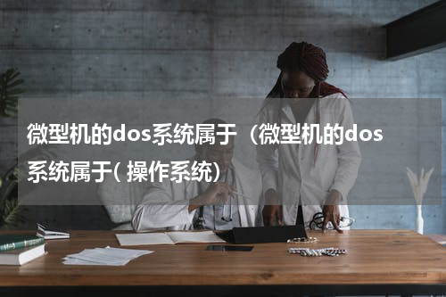 微型机的dos系统属于（微型机的dos系统属于( 操作系统）