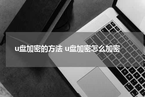 u盘加密的方法 u盘加密怎么加密