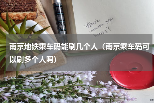 南京地铁乘车码能刷几个人（南京乘车码可以刷多个人吗）