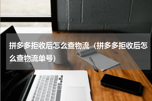 拼多多拒收后怎么查物流（拼多多拒收后怎么查物流单号）
