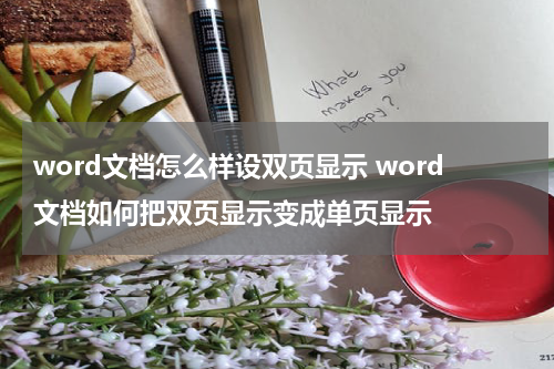 word文档怎么样设双页显示 word文档如何把双页显示变成单页显示