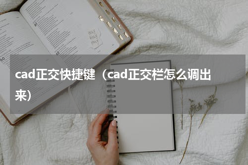cad正交快捷键（cad正交栏怎么调出来）