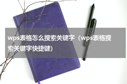 wps表格怎么搜索关键字（wps表格搜索关键字快捷键）