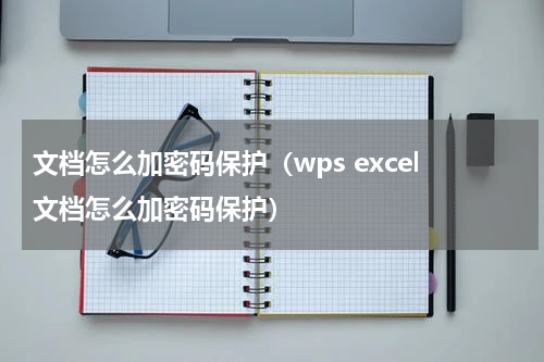 文档怎么加密码保护（wps excel文档怎么加密码保护）