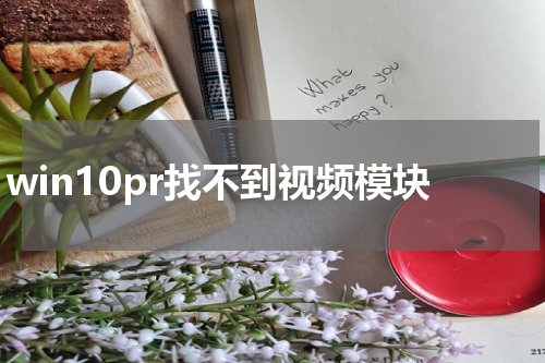 win10pr找不到视频模块