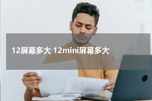 12屏幕多大 12mini屏幕多大