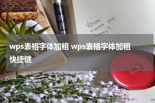 wps表格字体加粗 wps表格字体加粗快捷键