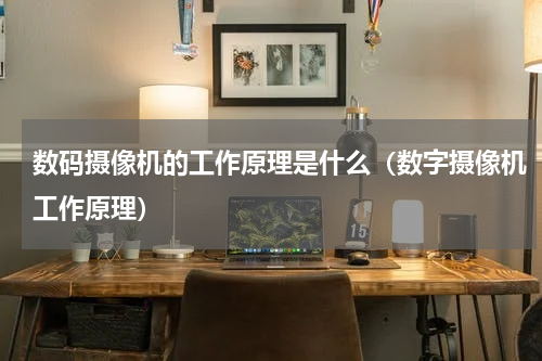 数码摄像机的工作原理是什么（数字摄像机工作原理）