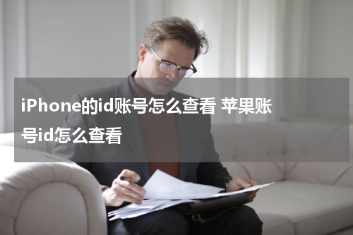 iPhone的id账号怎么查看 苹果账号id怎么查看