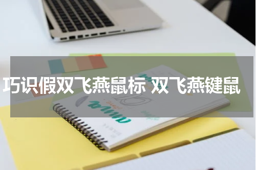巧识假双飞燕鼠标 双飞燕键鼠