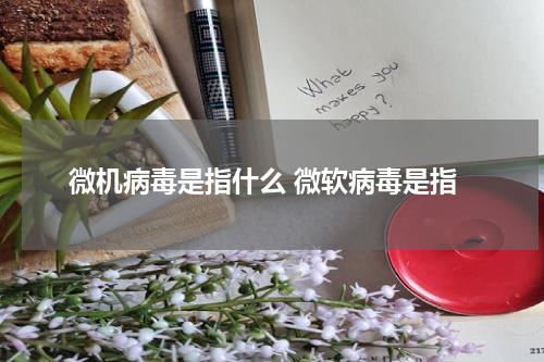微机病毒是指什么 微软病毒是指