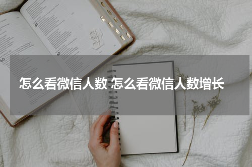 怎么看微信人数 怎么看微信人数增长