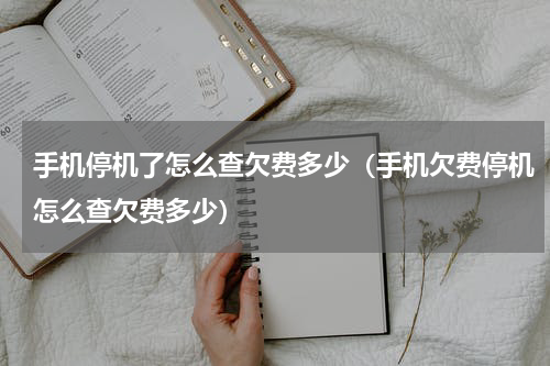 手机停机了怎么查欠费多少（手机欠费停机怎么查欠费多少）