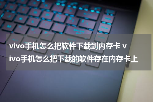 vivo手机怎么把软件下载到内存卡 vivo手机怎么把下载的软件存在内存卡上
