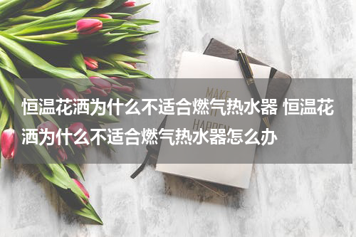 恒温花洒为什么不适合燃气热水器 恒温花洒为什么不适合燃气热水器怎么办