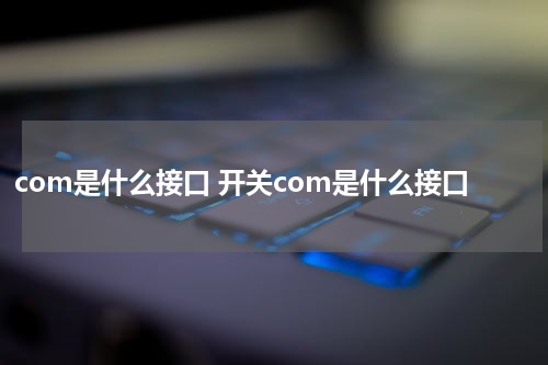 com是什么接口 开关com是什么接口
