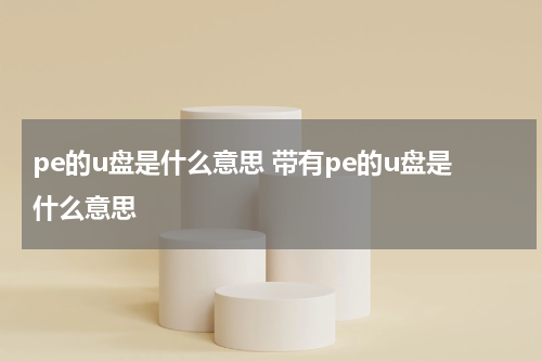 pe的u盘是什么意思 带有pe的u盘是什么意思