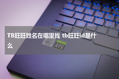 TB旺旺姓名在哪里找 tb旺旺id是什么