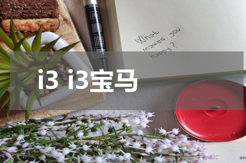 i3 i3宝马