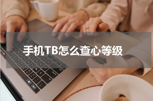 手机TB怎么查心等级
