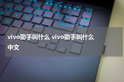 vivo助手叫什么 vivo助手叫什么中文