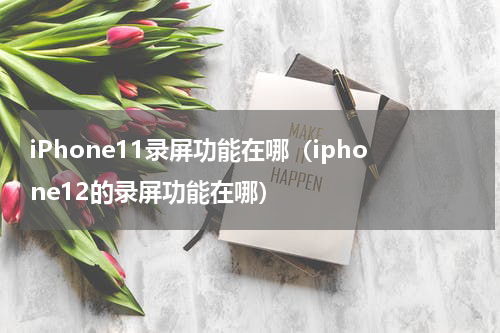 iPhone11录屏功能在哪（iphone12的录屏功能在哪）