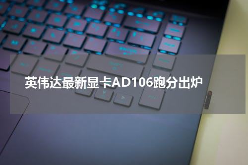 英伟达最新显卡AD106跑分出炉